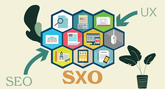 What is SXO ?